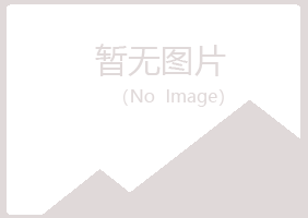 广东紫山会计有限公司